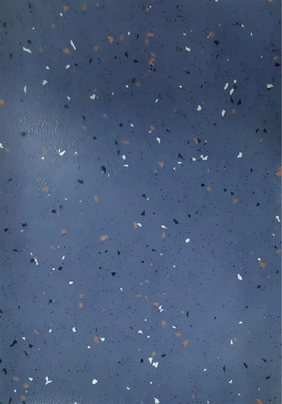 پوشش اتوبوس ضد لغزش R10